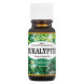 Saloos 100% Natural Essential Oil Eucalyptus 10ml